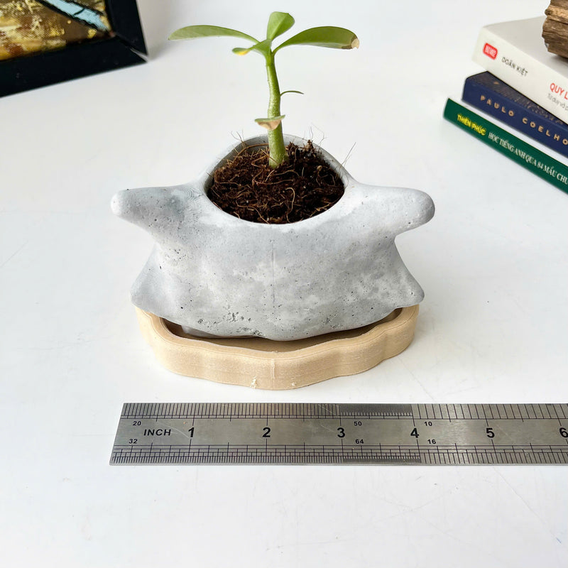 Cubone Plant Pot
