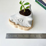 Cubone Plant Pot