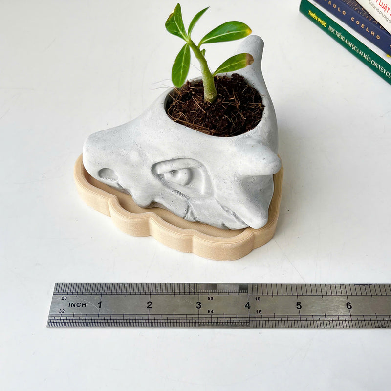 Cubone Plant Pot
