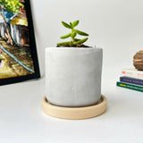 Random 2" Succulent In Minimalist Planter (plastic drainage tray)