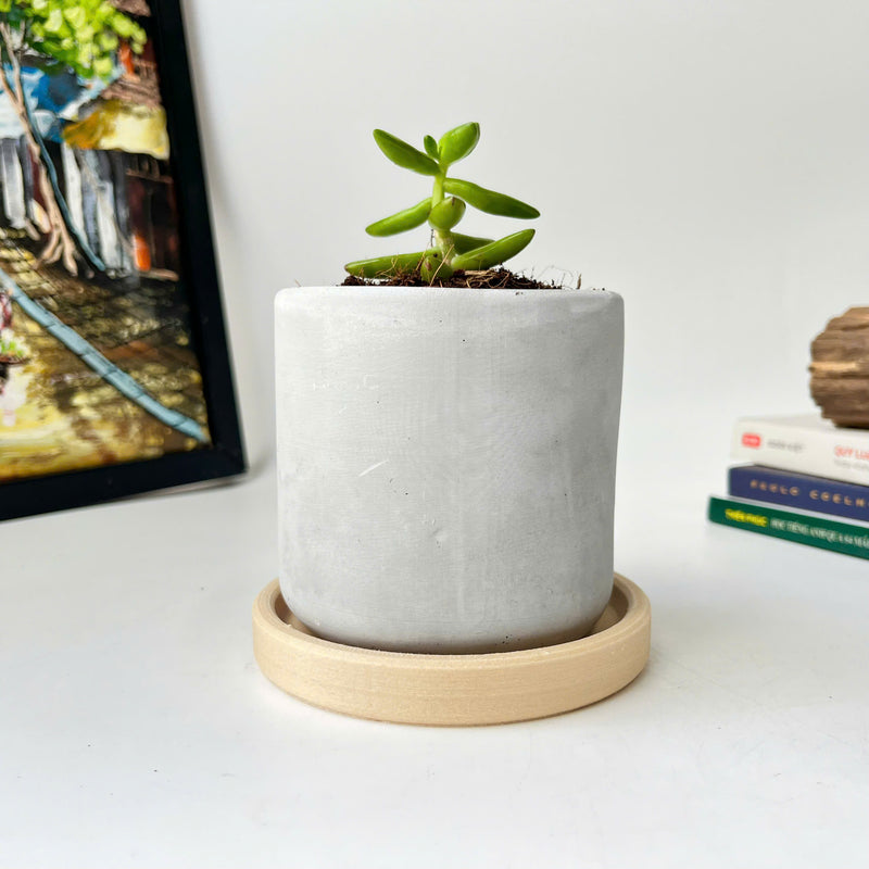 Minimalist Planter (plastic drainage tray)