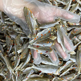 Baby Dried Croaker Fish with Chili Salt – 1.1 lb