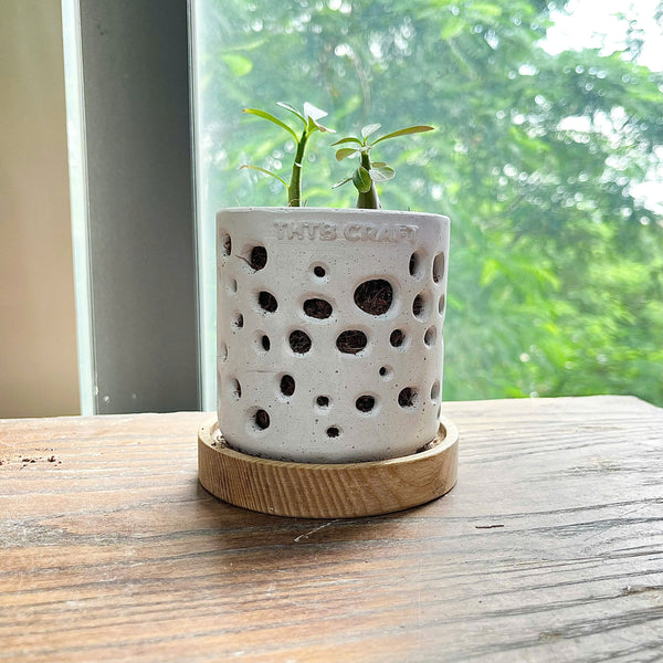 THTB Craft Multi-Purpose Planter (wooden drainage tray)
