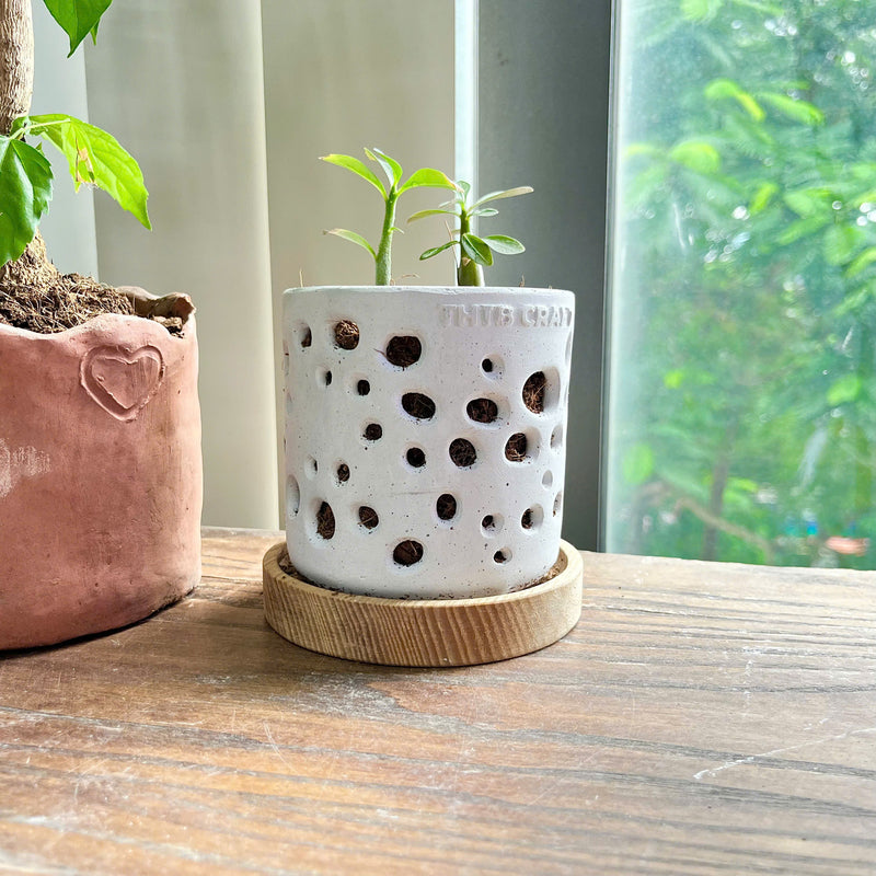 THTB Craft Multi-Purpose Planter (wooden drainage tray)