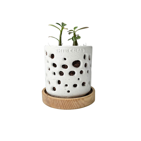 THTB Craft Multi-Purpose Planter (wooden drainage tray)