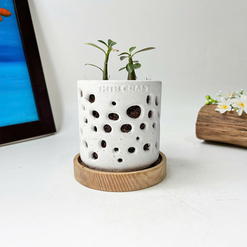THTB Craft Multi-Purpose Planter (wooden drainage tray)
