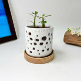 THTB Craft Multi-Purpose Planter (wooden drainage tray)