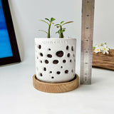 THTB Craft Multi-Purpose Planter (wooden drainage tray)