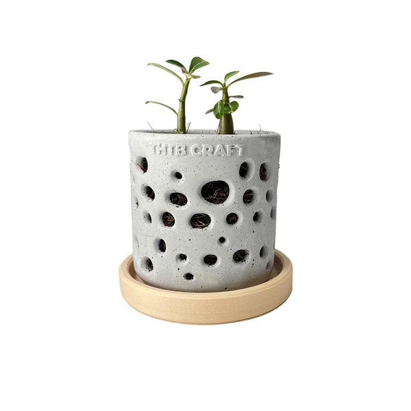 THTB Craft Multi-Purpose Planter (plastic drainage tray)