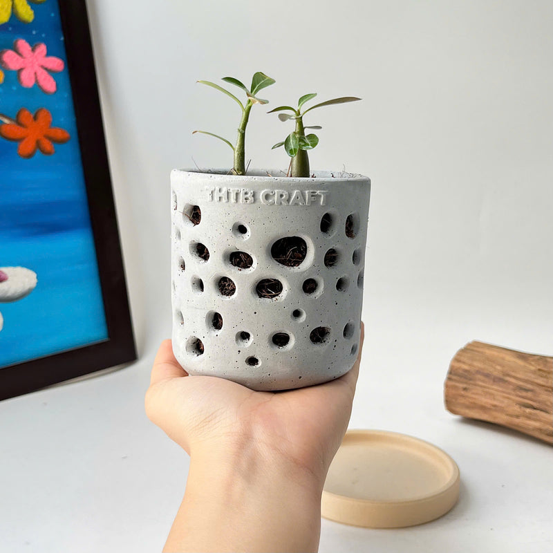 THTB Craft Multi-Purpose Planter (plastic drainage tray)