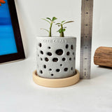 THTB Craft Multi-Purpose Planter (plastic drainage tray)