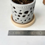 THTB Craft Multi-Purpose Planter (plastic drainage tray)