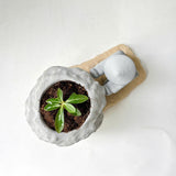 Rock-Shaped Plant Pot, Plant Pot with Man Pushing Rock, Sisyphus Inspired