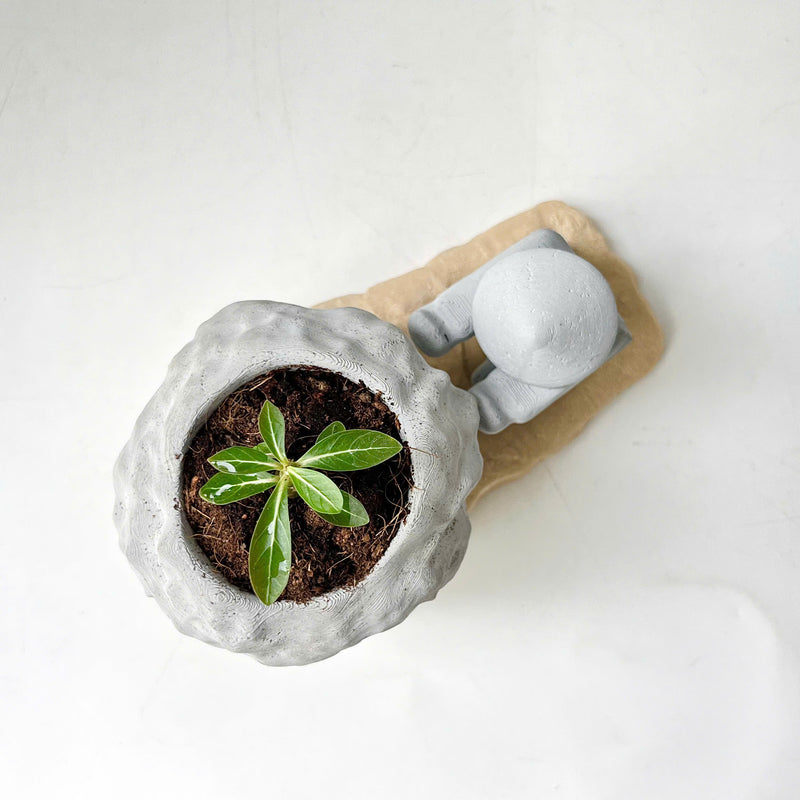 Rock-Shaped Plant Pot, Plant Pot with Man Pushing Rock, Sisyphus Inspired