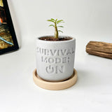 Random 2" Succulent In Plant pot "SURVIVAL MODE: ON"