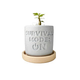 Plant pot "SURVIVAL MODE: ON"