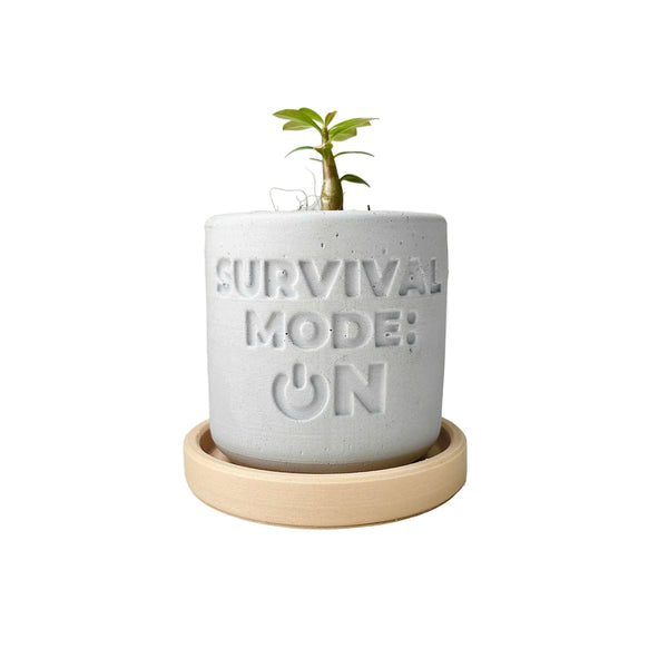 Plant pot "SURVIVAL MODE: ON"