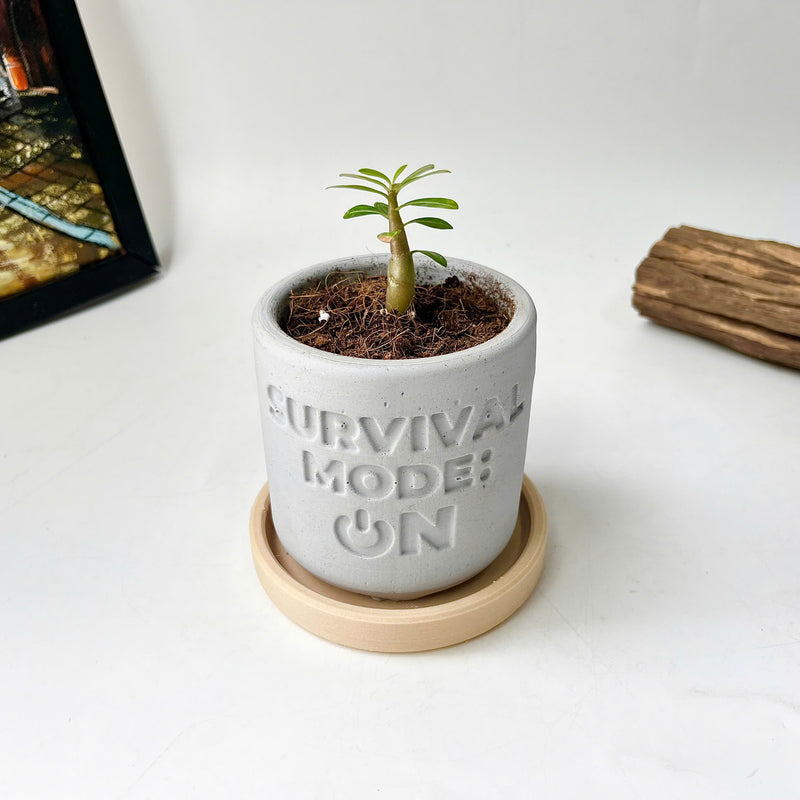 Plant pot "SURVIVAL MODE: ON"