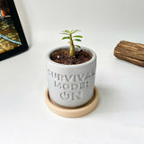 Random 2" Succulent In Plant pot "SURVIVAL MODE: ON"