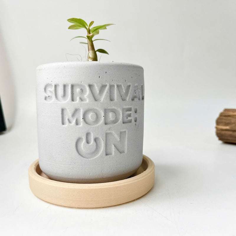 Plant pot "SURVIVAL MODE: ON"