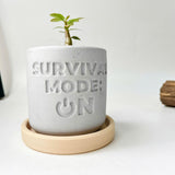 Random 2" Succulent In Plant pot "SURVIVAL MODE: ON"