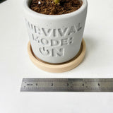 Plant pot "SURVIVAL MODE: ON"