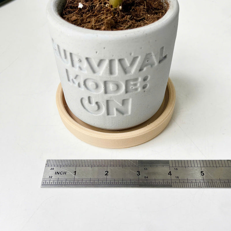Plant pot "SURVIVAL MODE: ON"