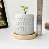 Random 2" Succulent In Plant pot "SURVIVAL MODE: ON"