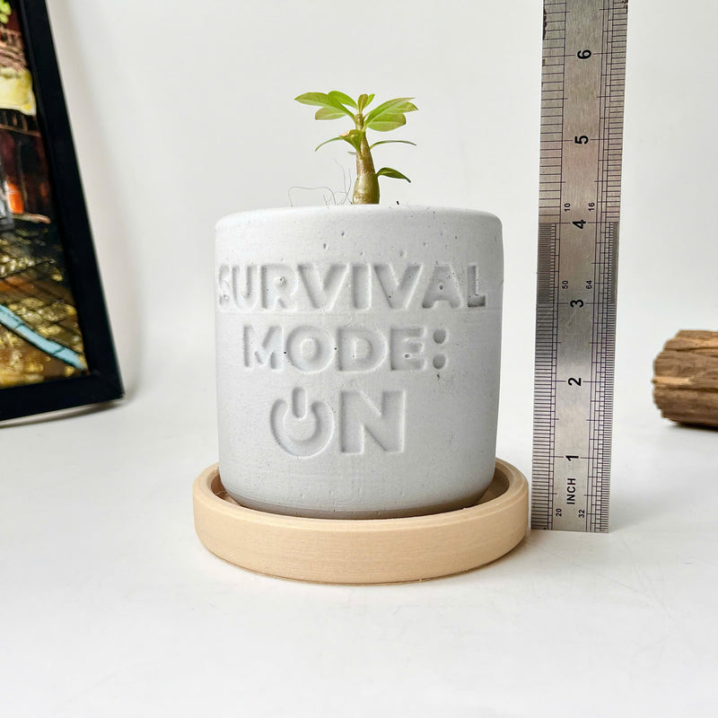 Plant pot "SURVIVAL MODE: ON"