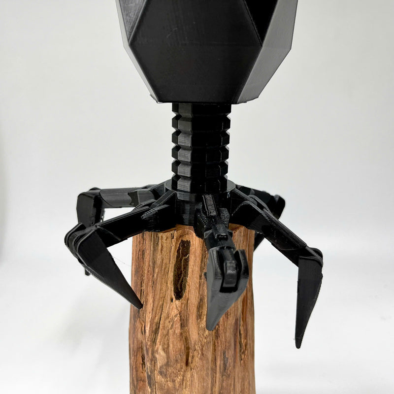 Virus Planter, Pencil Holder Gift, Bacteriophage 3D print Minimalist