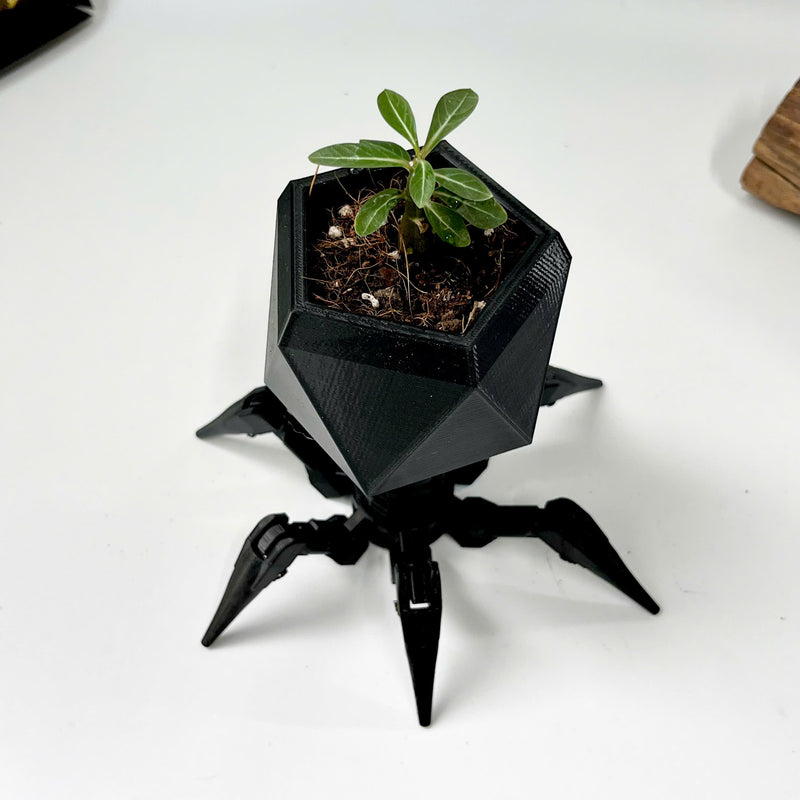 Virus Planter, Pencil Holder Gift, Bacteriophage 3D print Minimalist