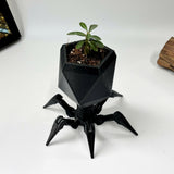 Virus Planter, Pencil Holder Gift, Bacteriophage 3D print Minimalist