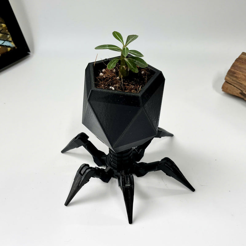 Virus Planter, Pencil Holder Gift, Bacteriophage 3D print Minimalist