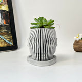 Random 2" Succulent In Concrete Human Face Planter
