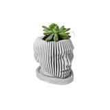 Random 2" Succulent In Concrete Human Face Planter