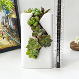 Live Succulent Arrangement  Centrepieces Holiday decor