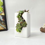 Live Succulent Arrangement  Centrepieces Holiday decor