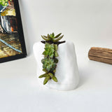 Live Succulent Arrangement Plant Pot Holiday decor