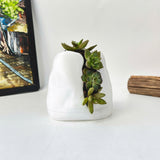 Live Succulent Arrangement Plant Pot Holiday decor