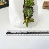 Live Succulent Arrangement Plant Pot Holiday decor