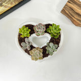 Live Succulent Arrangement Centrepiece for Holiday Decor (Heart-Shaped)