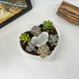 Live Succulent Arrangement Centrepiece for Holiday Decor (Heart-Shaped)