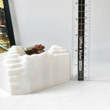 Live Succulent Arrangement Plant Pot Holiday Decor (S-shaped Groove)