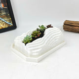 Live Succulent Arrangement Plant Pot Holiday Decor (S-shaped Groove)