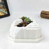 Live Succulent Arrangement Plant Pot Holiday Decor (S-shaped Groove)
