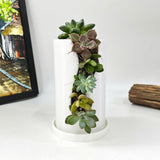 Live Succulent Arrangement Centrepieces Holiday decor