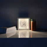 Decorative wall art (with LED lights)