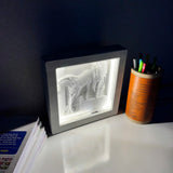 Decorative wall art (with LED lights)