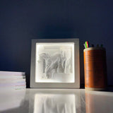 Decorative wall art (with LED lights)