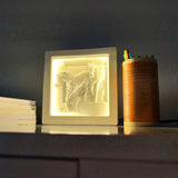 Decorative wall art (with LED lights)